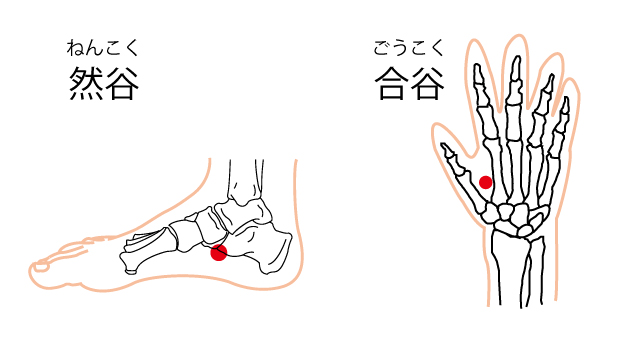 風邪予防のツボ