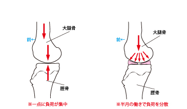 半月2