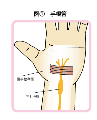 手根管