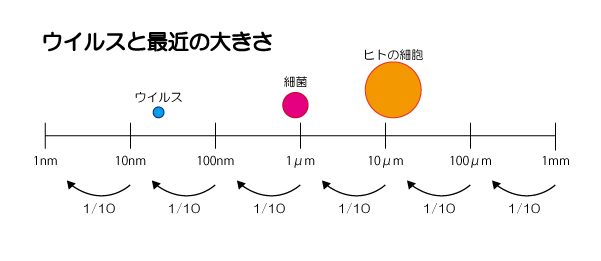 ウイルス・細胞の大きさ